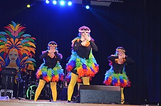 Karneval in BiebeRio 2019