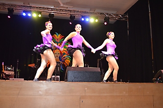 The Black Fairies