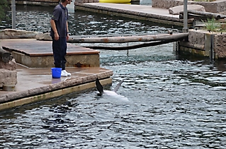 Vereinsausflug Tierpark Nürnberg 2019