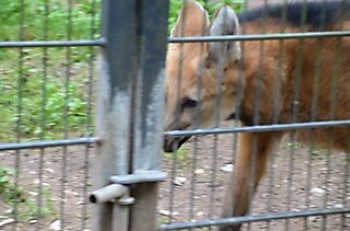 DSC_0146 (Mittel)