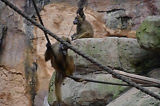 DSC_0221 (Mittel)