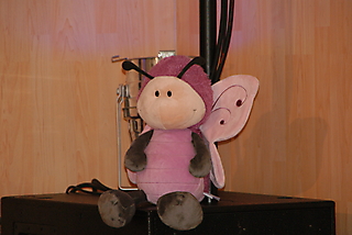 DSC03579