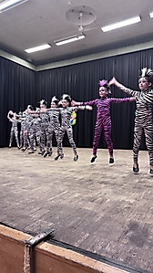 Flying Steps EDG 2026