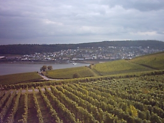 Ausflug nach Rüdesheim 2004