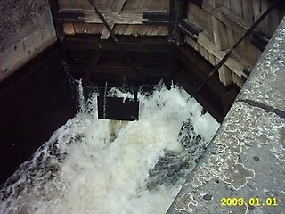 IMG_0031