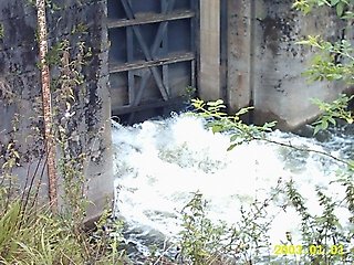 IMG_0041