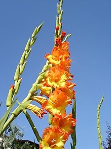 DSC00304