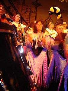Wespen Oberrad 2007
