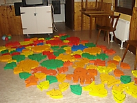 DSC05392_800x600