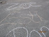 IMG_0140_800x600