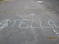 IMG_0141_800x600