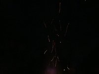 P1060103_800x600