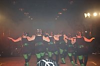 Kostümballsitzung 2013