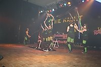 Kostümballsitzung 2013