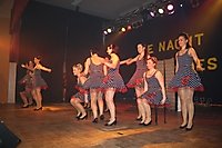 Kostümballsitzung 2013