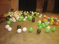DSC00194_800x600