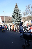 Umzug Steinheim 2013