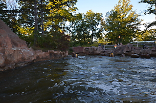 Holiday Park Impressionen_124