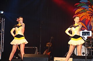 Black Fairies