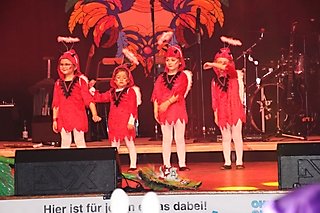 Karneval in BiebeRio 2020