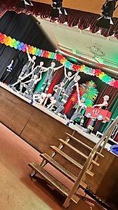 IMG_2486_live