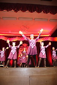 IMG_7528
